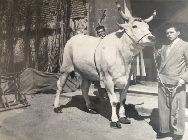 Macelleria Pegoraro - Storia